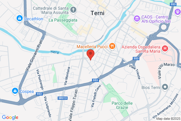 Sensini sandro (Dr.)