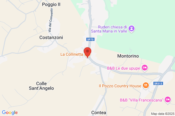 Rotoloni Viali ernesta