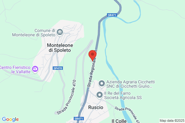 Visone antonia