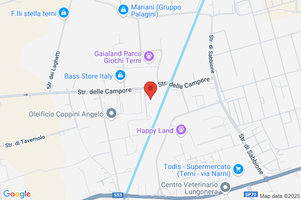 Tecniche Di Precisione S.A.S.
