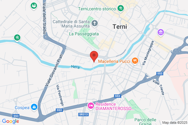Federazione Italiana Metalmeccanici