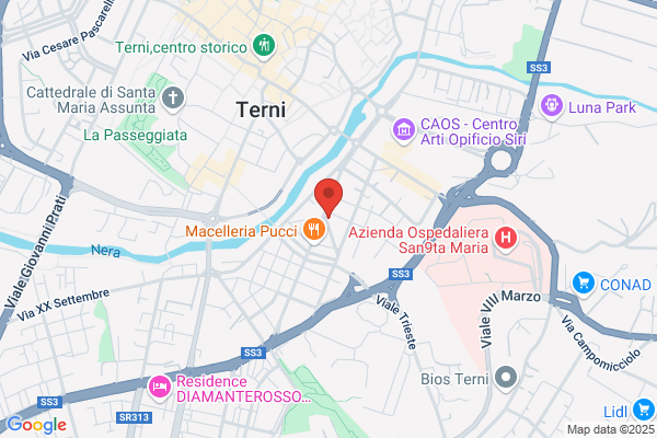 Morelli angelo