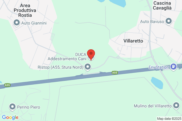 D.U.C.A. Disciplina Utilita' Cinofila Addestramento