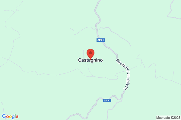 Castagnino santina