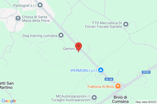 Gemini Tecnologia & Informatica (S.R.L.)