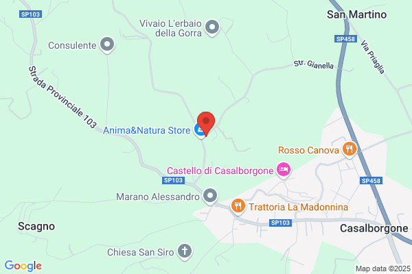 Motta alberto (Ing.)