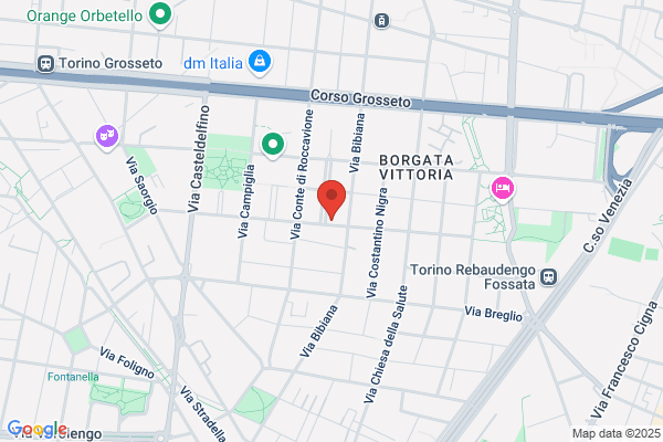 Torino Elettronica Sas