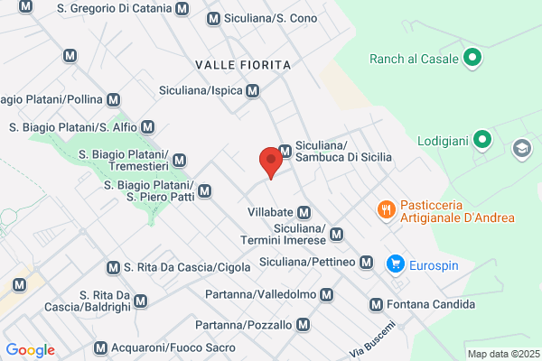 Libreria Finanze E Lavoro Di Vinci Roberto pietro & c. sas