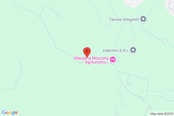 Mozzone renzo