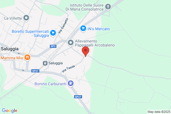 Trifiletti Cristina Francesca