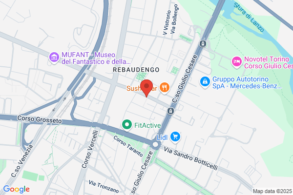 Mappa rita (Dr.)