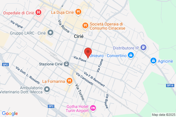 Rolfo duilio (Geom.)