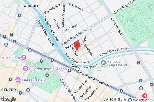 Gatto Dolcione Srl