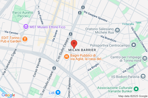 Partito Dei Comunisti Italiani