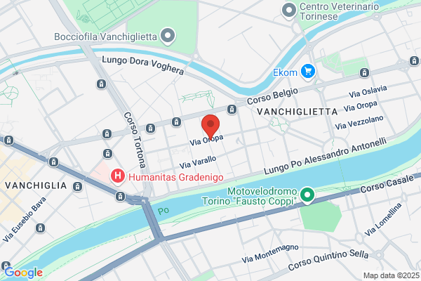 Partito Democratico Della Sinistra