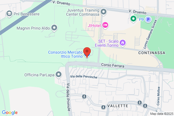 Industrie Ittiche Alto Adriatico S.R.L.