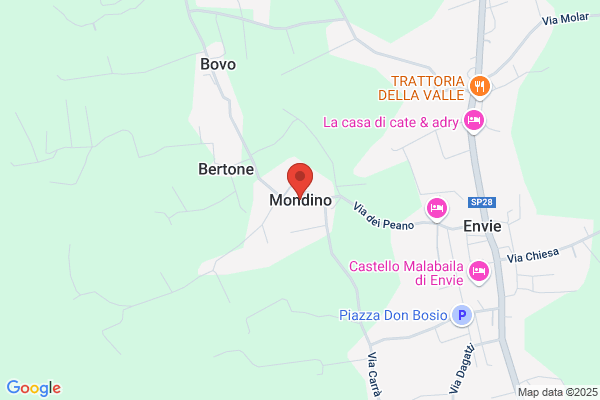 Mondino ivan