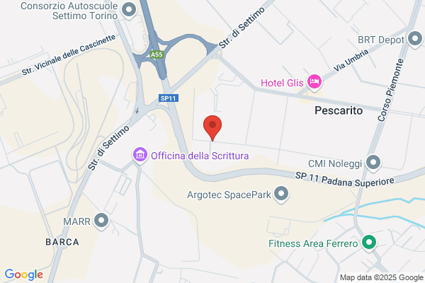 T.F.P. Torino Srl