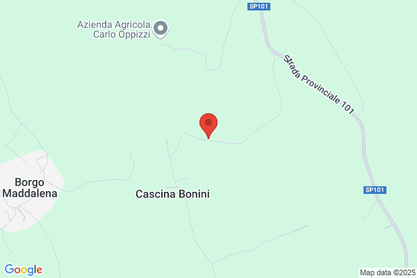 Piana Gianluca
