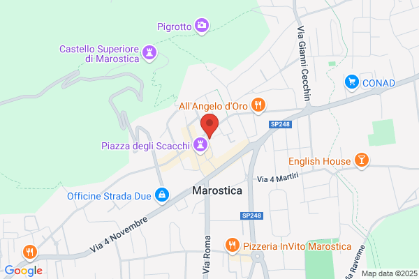 Marostica claudio (Rag.)