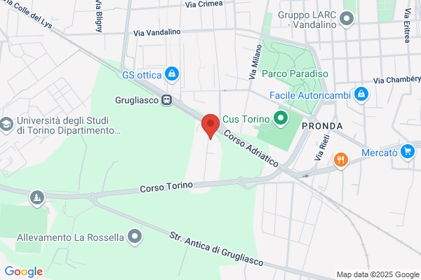 Torino Ricambi Di Grizzanti Salvatore