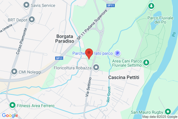 Vaccarino elisabetta