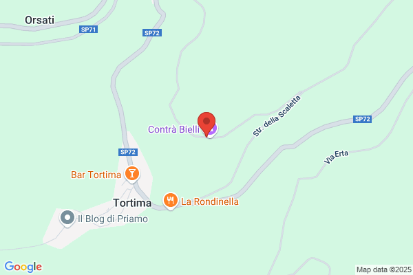 Bielli, Marco