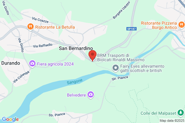 Brm Italiana Srl
