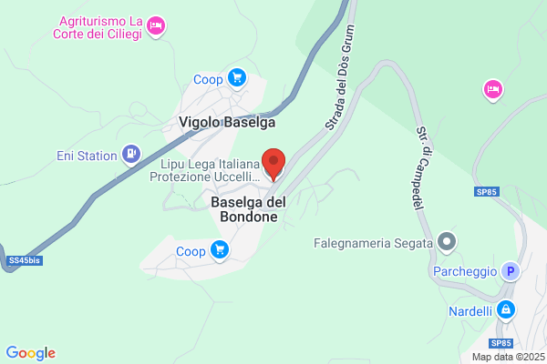 Lipu Lega Italiana Protezione Uccelli
