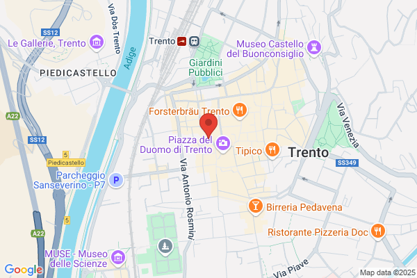 Fedrizzi Mario (Avv.)