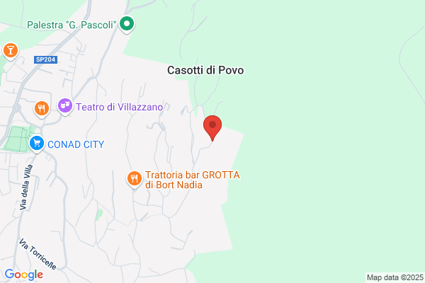 Geologo Armando Chini