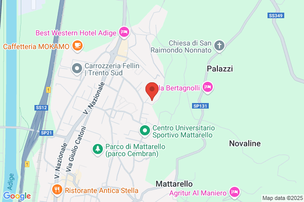 Elettrodierre di Roberto Dimauro