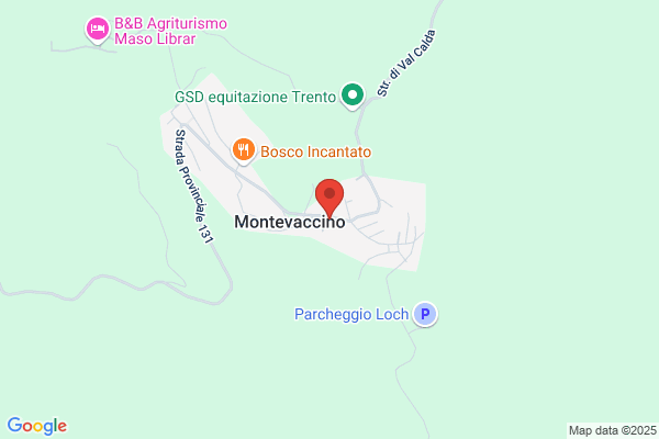 Pontalti dario
