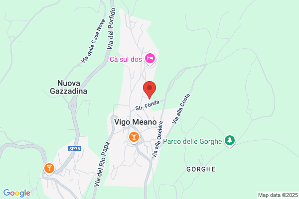 Zeni pio
