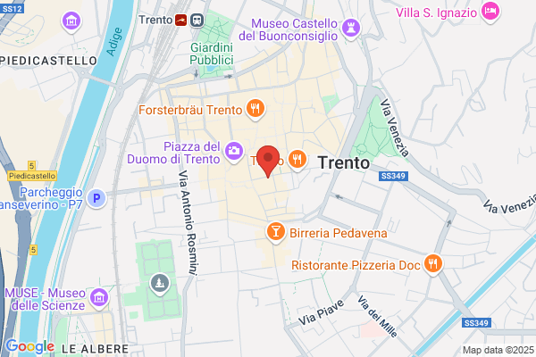 Universita Degli Studi Di Trento