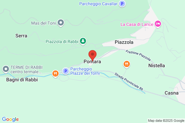 Zogno irfo