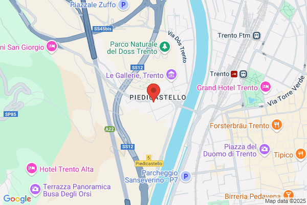 Zanella flavio (Dr.)