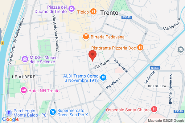 Istituto Trentino Di Cultura