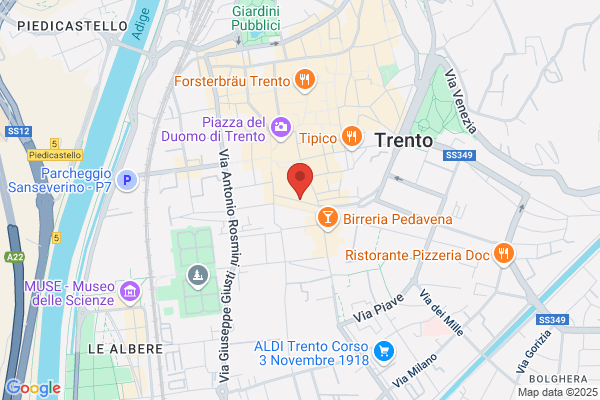 Antica Trattoria Orso Grigio