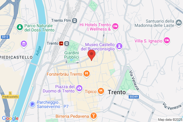 Ristorante e Pizza Antico Pozzo Santoni'S