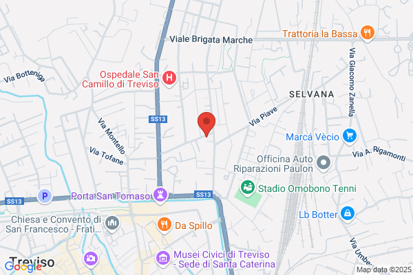 F.I.S.M. Treviso Federazione Italiana Scuole Materne