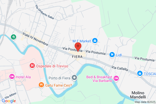 Federazione Italiana Pallavolo