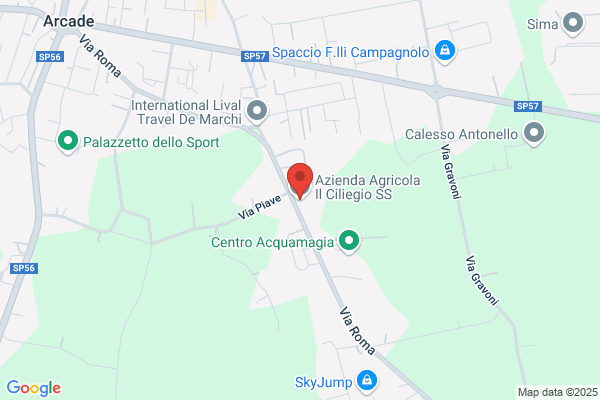 Il Ciliegio S.R.L.