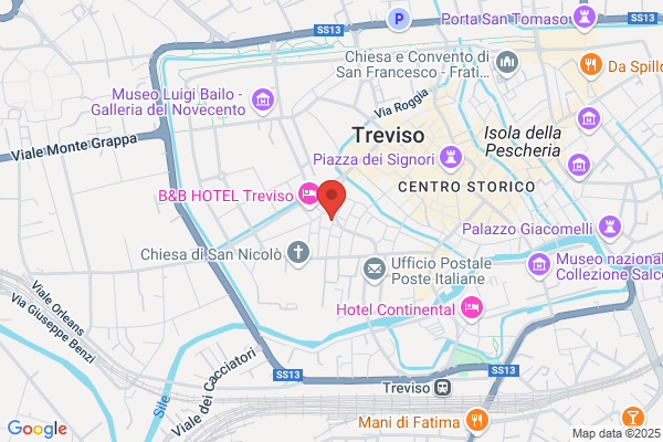 Treviso Aci Servizi Srl