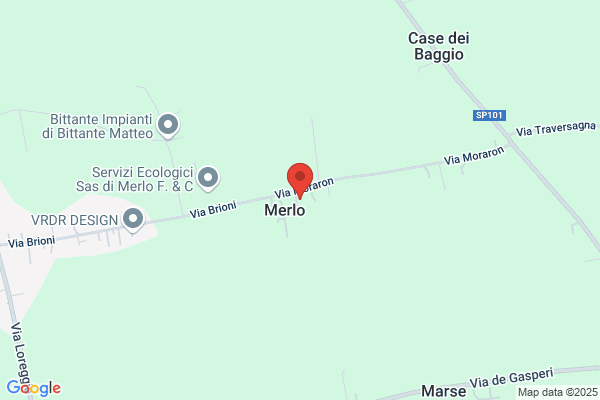 Merlo mirco