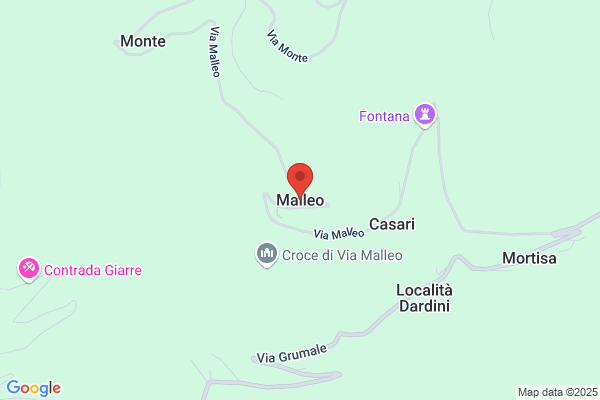 Malleo salvatore (Dr.)