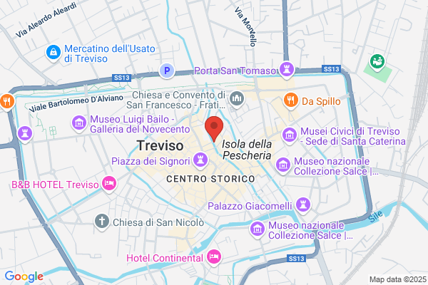 Istituto Investigativo Igi