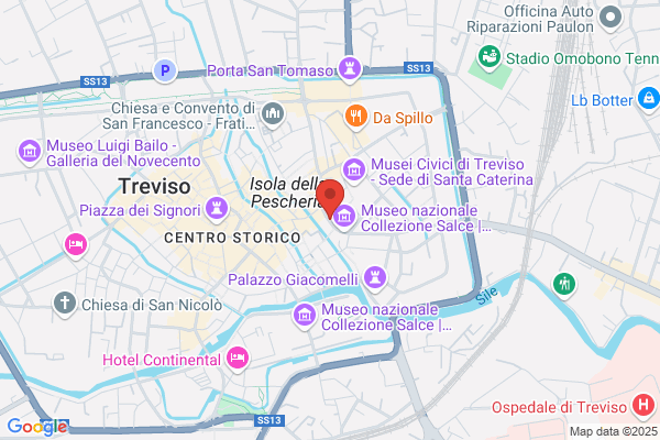 Galleria Darte Citta Di Treviso