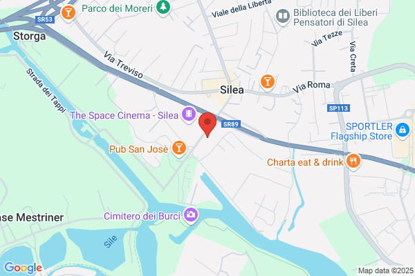 Servizio Infermieri Professionali Treviso
