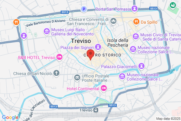 Libreria Canova Zoppelli